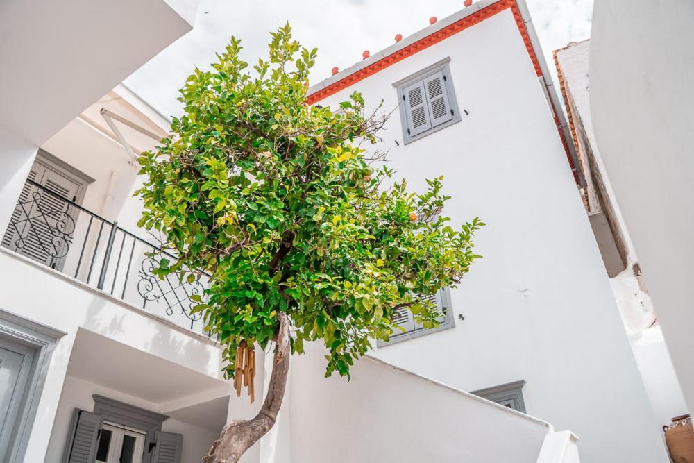 Lemon Tree - Hydra Dream Houses Luaran gambar